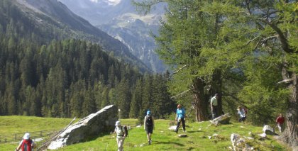 naturhotel-urlaubsfotos-sommer-2012-9-bis-15-september bild#117
