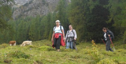 naturhotel-urlaubsfotos-sommer-2012-23-bis-29-september bild#12