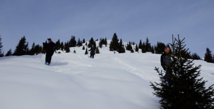 naturhotel-urlaubsfotos-winter-2013-23-bis-29-dezember bild#24