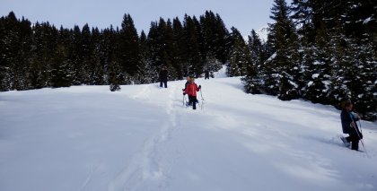 naturhotel-urlaubsfotos-winter-2013-23-bis-29-dezember bild#36