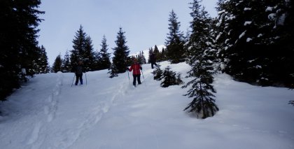 naturhotel-urlaubsfotos-winter-2013-23-bis-29-dezember bild#39