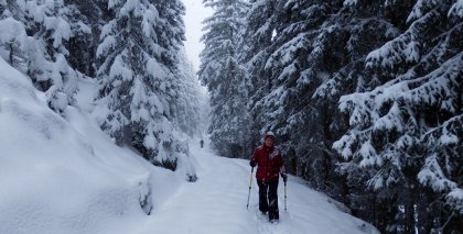 naturhotel-urlaubsfotos-winter-2013-23-bis-29-dezember bild#51