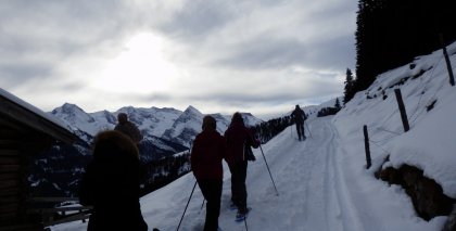 naturhotel-urlaubsfotos-winter-2013-30-bis-5-jaenner bild#3