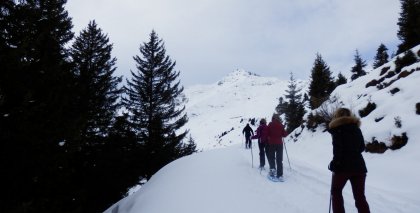 naturhotel-urlaubsfotos-winter-2013-30-bis-5-jaenner bild#9