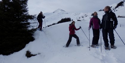 naturhotel-urlaubsfotos-winter-2013-30-bis-5-jaenner bild#27