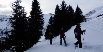naturhotel-urlaubsfotos-winter-2013-30-bis-5-jaenner bild#30
