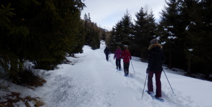 naturhotel-urlaubsfotos-winter-2013-30-bis-5-jaenner bild#31