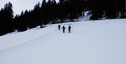 naturhotel-urlaubsfotos-winter-2013-30-bis-5-jaenner bild#35