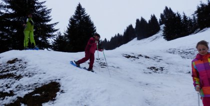 naturhotel-urlaubsfotos-winter-2013-30-bis-5-jaenner bild#52