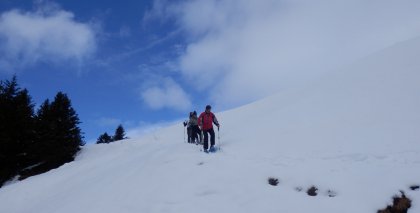 naturhotel-urlaubsfotos-winter-2013-6-bis-12-jaenner bild#157