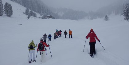 naturhotel-urlaubsfotos-winter-2013-13-bis-19-jaenner bild#17