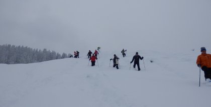 naturhotel-urlaubsfotos-winter-2013-13-bis-19-jaenner bild#38