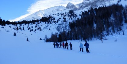 naturhotel-urlaubsfotos-winter-2013-3-bis-9-februar- bild#19