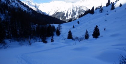 naturhotel-urlaubsfotos-winter-2013-3-bis-9-februar- bild#22