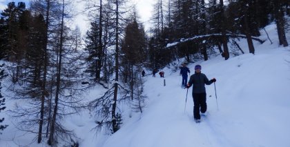 naturhotel-urlaubsfotos-winter-2013-3-bis-9-februar- bild#38