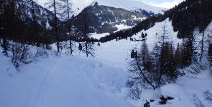 naturhotel-urlaubsfotos-winter-2013-3-bis-9-februar- bild#39