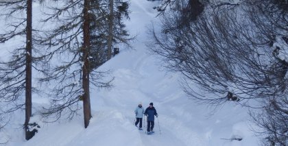 naturhotel-urlaubsfotos-winter-2013-3-bis-9-februar- bild#40