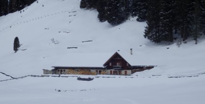 naturhotel-urlaubsfotos-winter-2013-3-bis-9-februar- bild#49