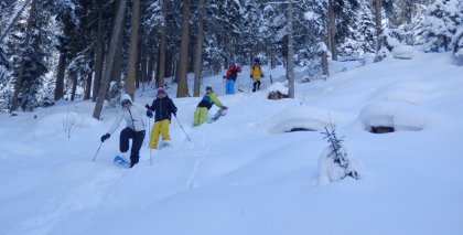 naturhotel-urlaubsfotos-winter-2013-3-bis-9-februar- bild#63