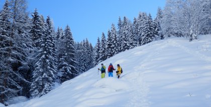 naturhotel-urlaubsfotos-winter-2013-3-bis-9-februar- bild#73