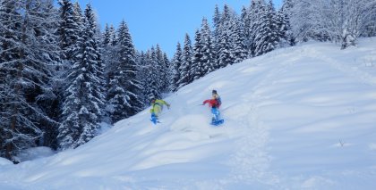 naturhotel-urlaubsfotos-winter-2013-3-bis-9-februar- bild#74