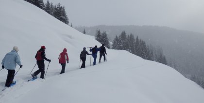 naturhotel-urlaubsfotos-winter-2013-3-bis-9-februar- bild#83