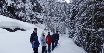 naturhotel-urlaubsfotos-winter-2013-3-bis-9-februar- bild#105