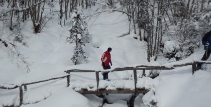 naturhotel-urlaubsfotos-winter-2013-3-bis-9-februar- bild#112