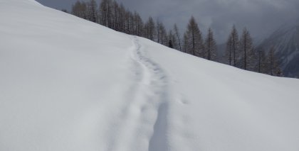 naturhotel-urlaubsfotos-winter-2013-3-bis-9-februar- bild#118