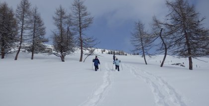naturhotel-urlaubsfotos-winter-2013-3-bis-9-februar- bild#126