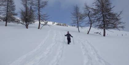 naturhotel-urlaubsfotos-winter-2013-3-bis-9-februar- bild#128