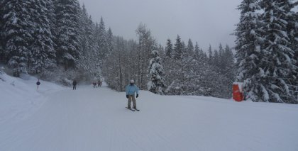 naturhotel-urlaubsfotos-winter-2013-3-bis-9-februar- bild#176