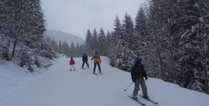 naturhotel-urlaubsfotos-winter-2013-3-bis-9-februar- bild#178