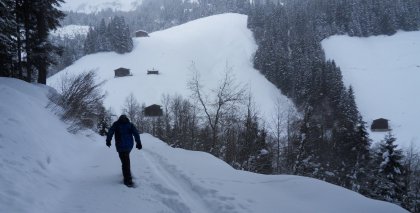 naturhotel-urlaubsfotos-winter-2013-10-bis-16 bild#100