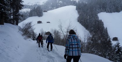 naturhotel-urlaubsfotos-winter-2013-10-bis-16 bild#102