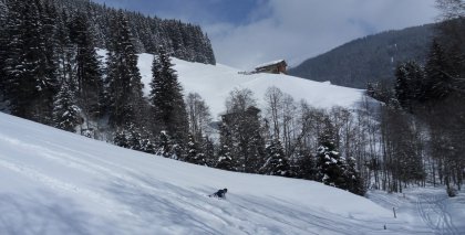 naturhotel-urlaubsfotos-winter-2013-10-bis-16 bild#118