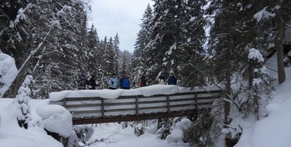 naturhotel-urlaubsfotos-winter-2013-10-bis-16 bild#137