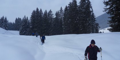naturhotel-urlaubsfotos-winter-2013-10-bis-16 bild#141