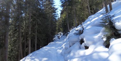 naturhotel-urlaubsfotos-winter-2013-24-bis-2-maerz bild#82
