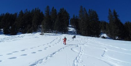naturhotel-urlaubsfotos-winter-2013-24-bis-2-maerz bild#90