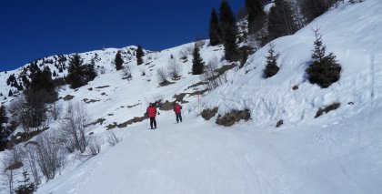 naturhotel-urlaubsfotos-winter-2013-3-bis-9-maerz bild#11