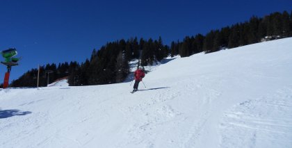 naturhotel-urlaubsfotos-winter-2013-3-bis-9-maerz bild#14