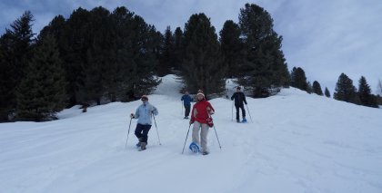 naturhotel-urlaubsfotos-winter-2013-3-bis-9-maerz bild#44