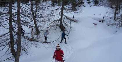naturhotel-urlaubsfotos-winter-2013-3-bis-9-maerz bild#49