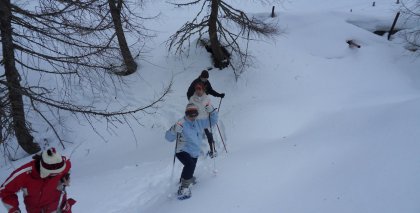 naturhotel-urlaubsfotos-winter-2013-3-bis-9-maerz bild#50