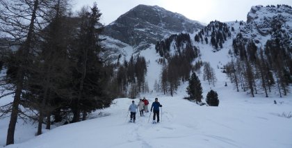 naturhotel-urlaubsfotos-winter-2013-3-bis-9-maerz bild#52