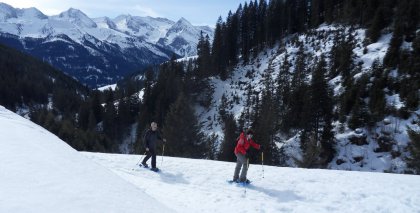 naturhotel-urlaubsfotos-winter-2013-3-bis-9-maerz bild#92
