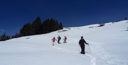 naturhotel-urlaubsfotos-winter-2013-3-bis-9-maerz bild#114