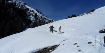 naturhotel-urlaubsfotos-winter-2013-3-bis-9-maerz bild#116
