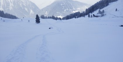 naturhotel-urlaubsfotos-winter-2013-10-bis-16-maerz bild#11